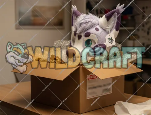 Secure Delivery, Customs Management & Long-Term Care