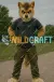 The Partial Wild Lion Fursuit Commission (Front)